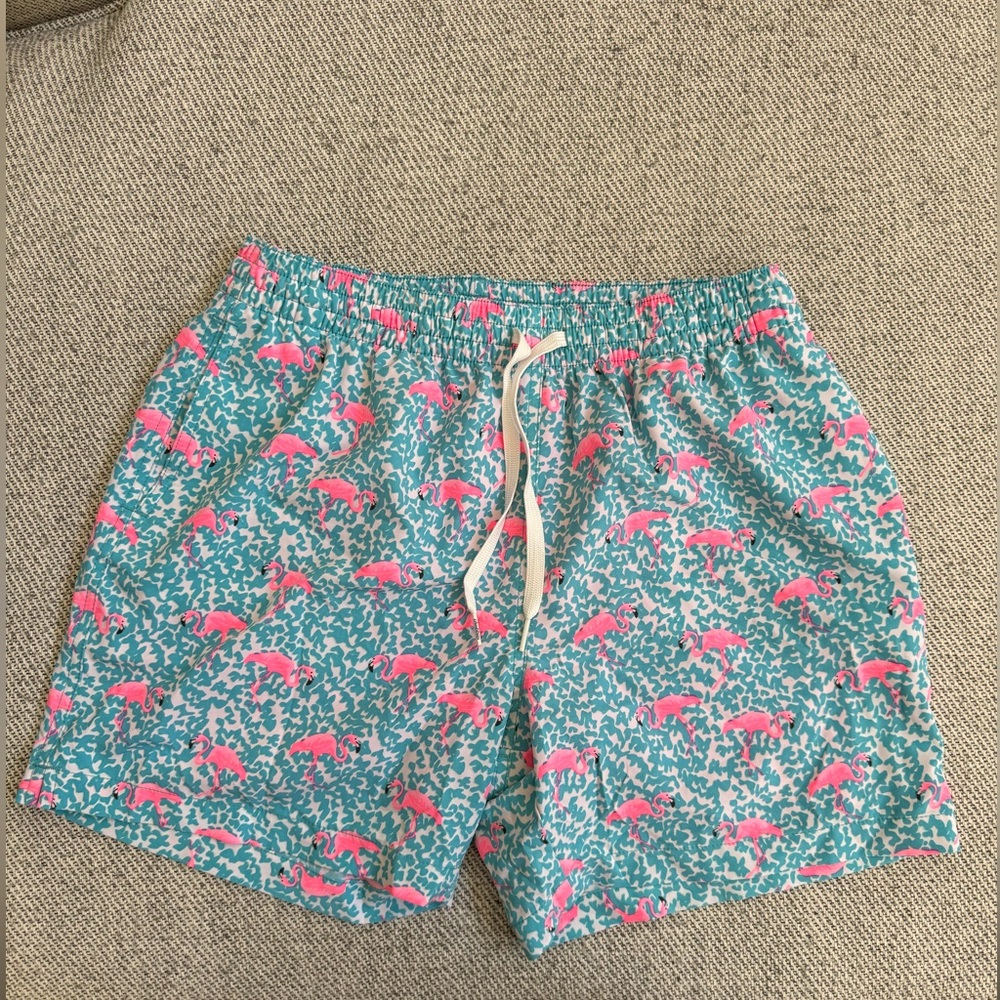 Men’s Chubbies Swin Trunk Size